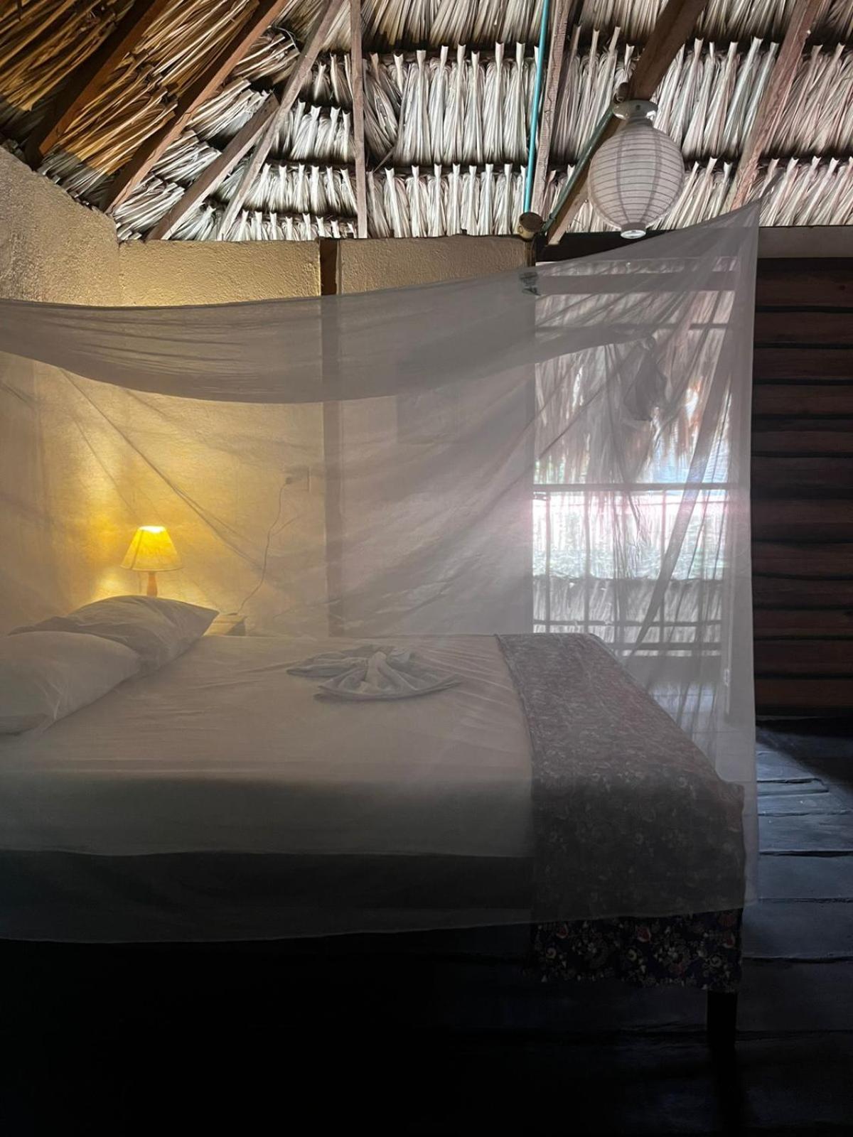 Hostal Zinpar ปาโลมิโน ภายนอก รูปภาพ